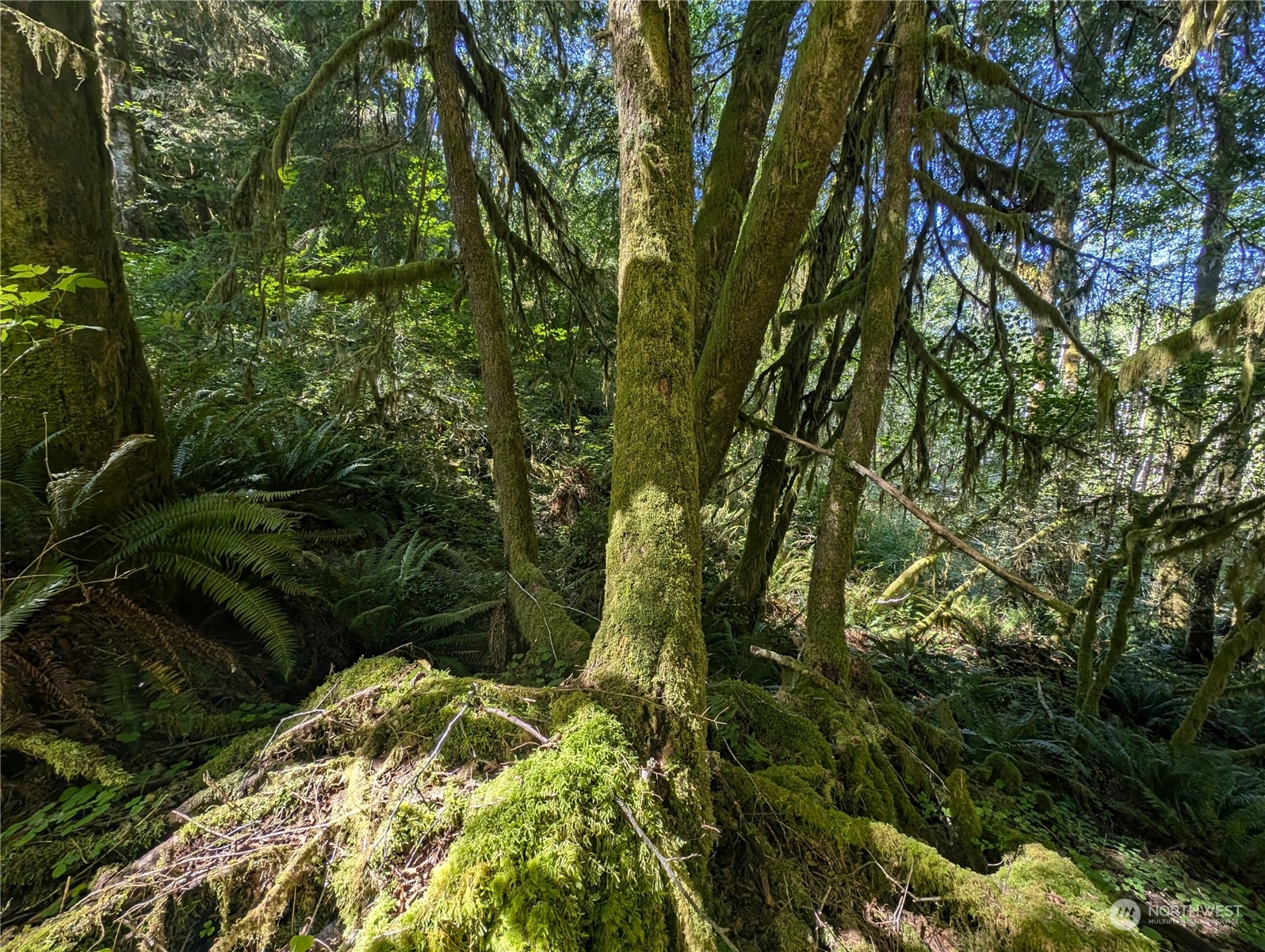 99994 Dowans Creek Road Property Photo 35