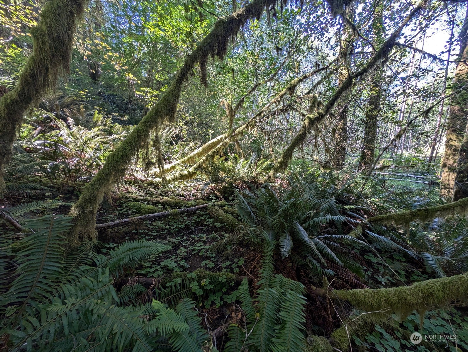 99994 Dowans Creek Road Property Photo 38