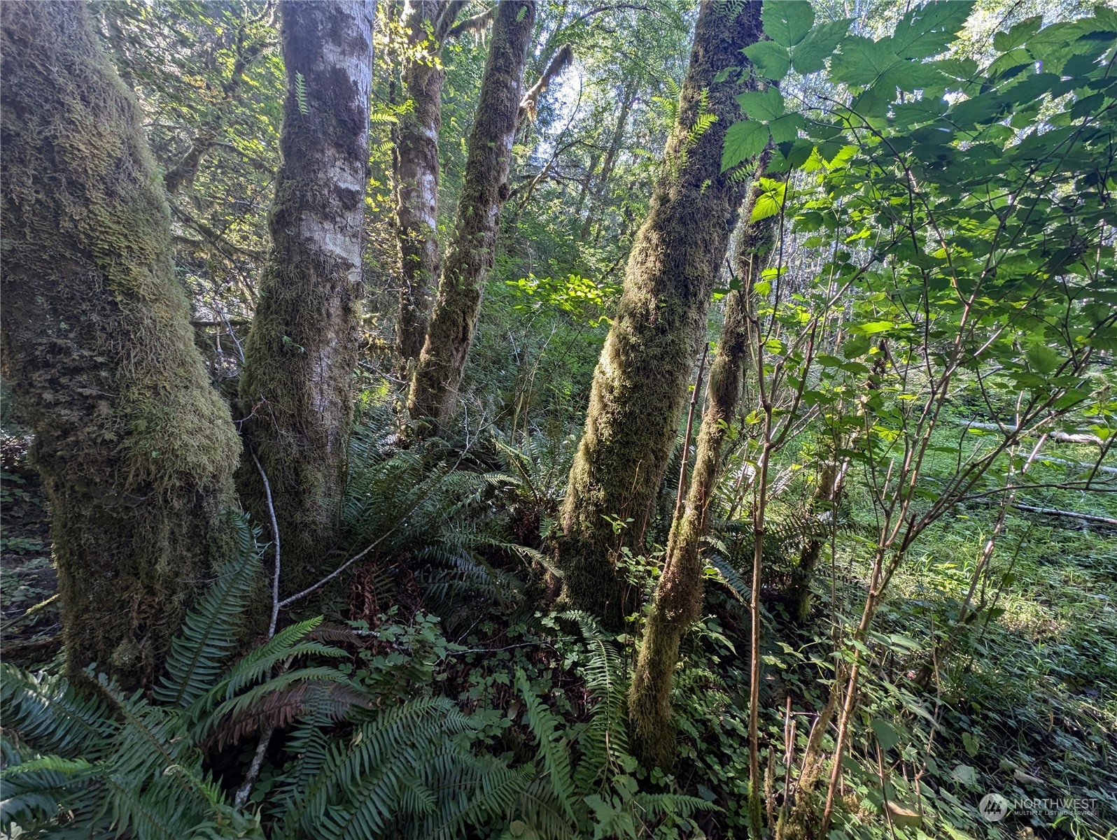 99994 Dowans Creek Road Property Photo 39