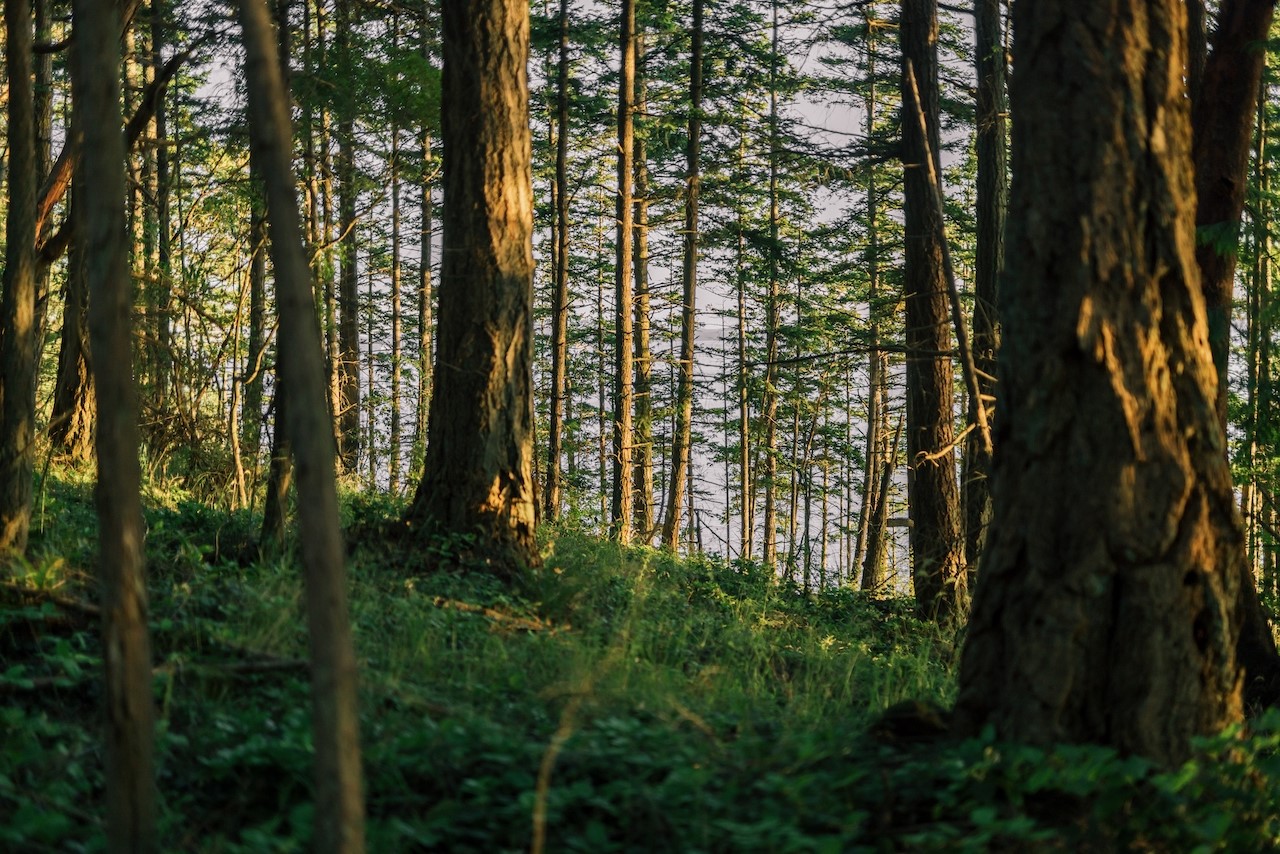 291 Arbel Way Property Photo 21