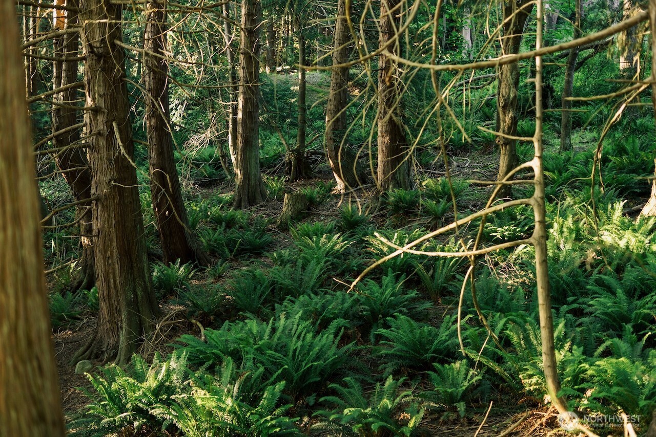 251 Arbel Way Property Photo 26