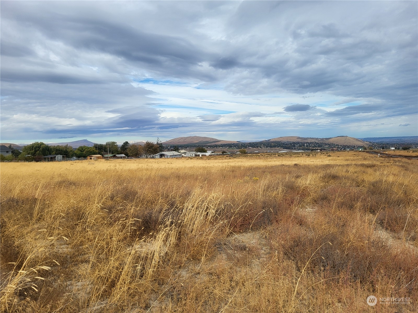 31730 Mammoth Dr Property Photo 2