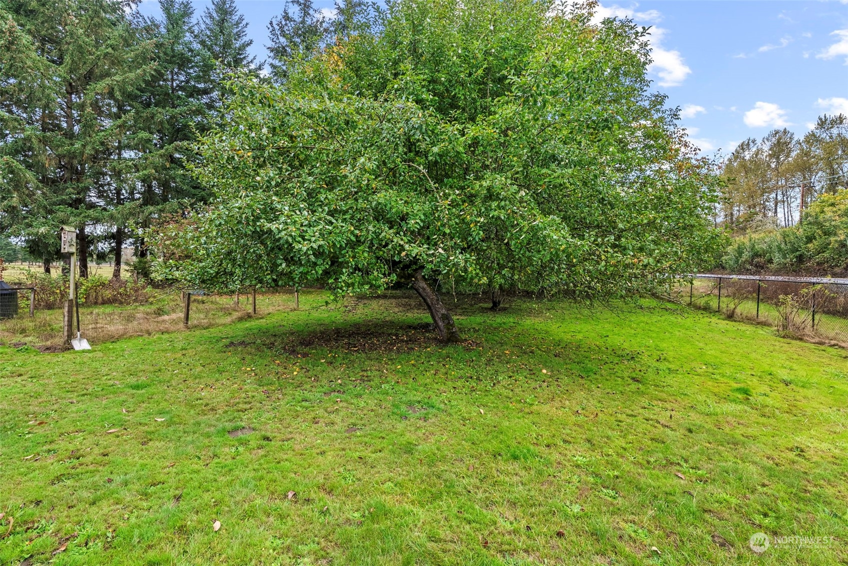 102 Jackson Highway Property Photo 26