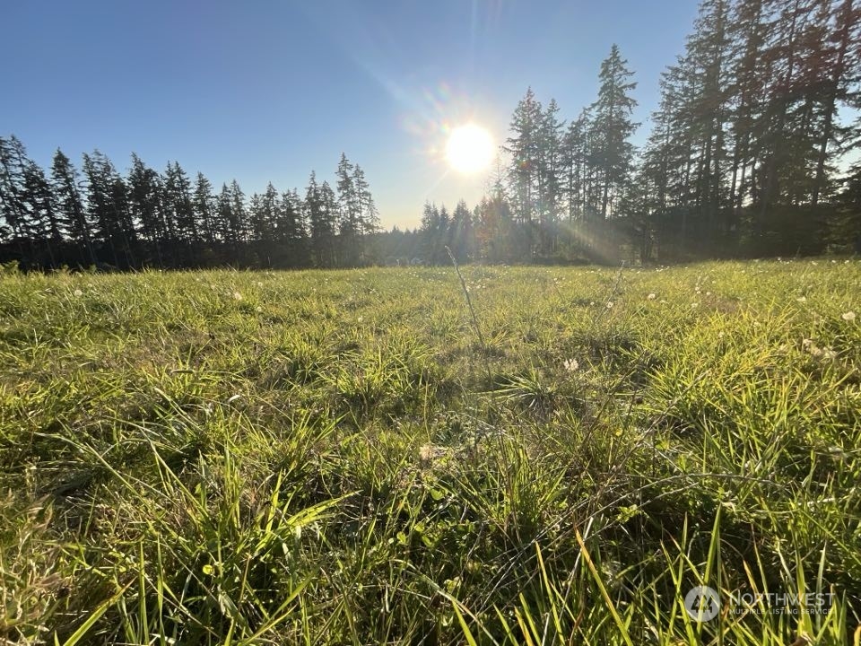 5777 Kramer Road Property Photo 4