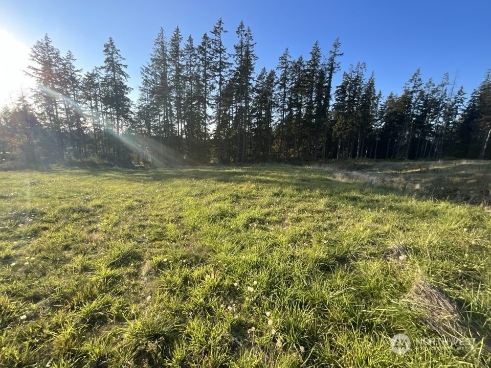 5777 Kramer Road Property Photo 5