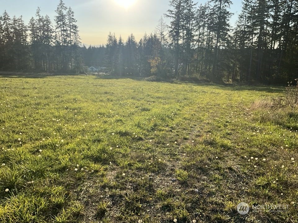 5777 Kramer Road Property Photo 6