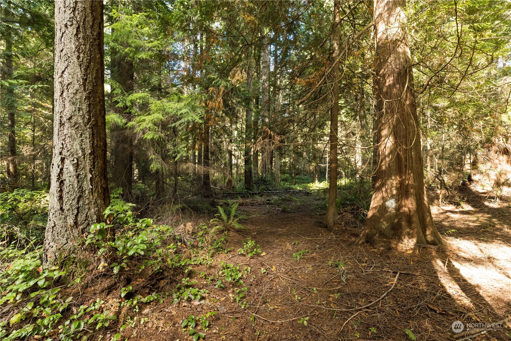 15630 Agatewood Road Property Photo 8