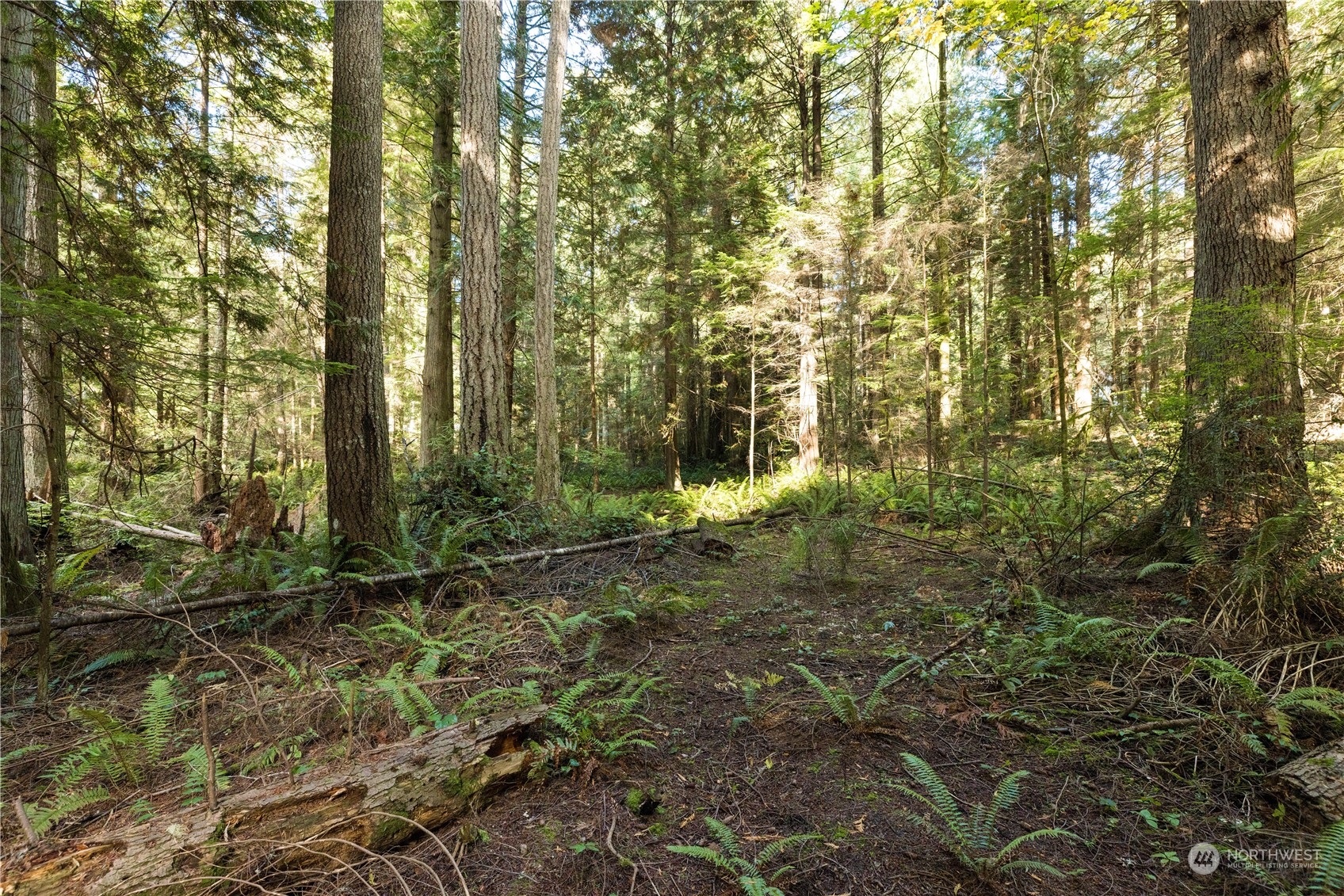 15630 Agatewood Road Property Photo 9