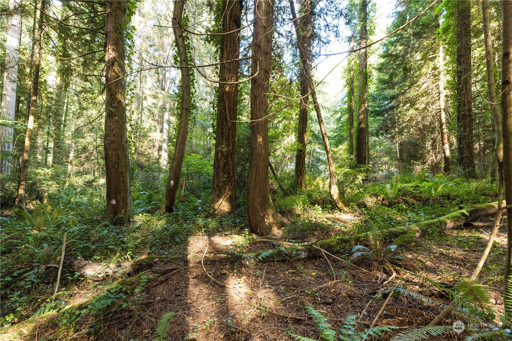 15630 Agatewood Road Property Photo 12