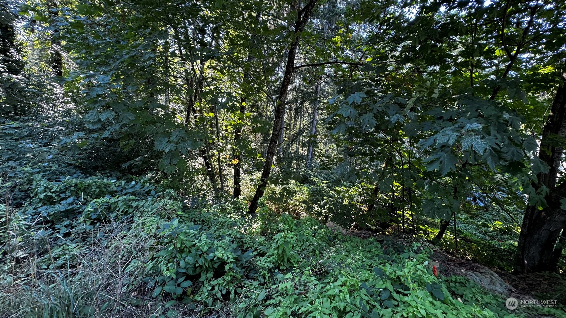 14055 169th Avenue Property Photo