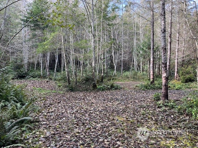 19 Point Whitney Road Property Photo