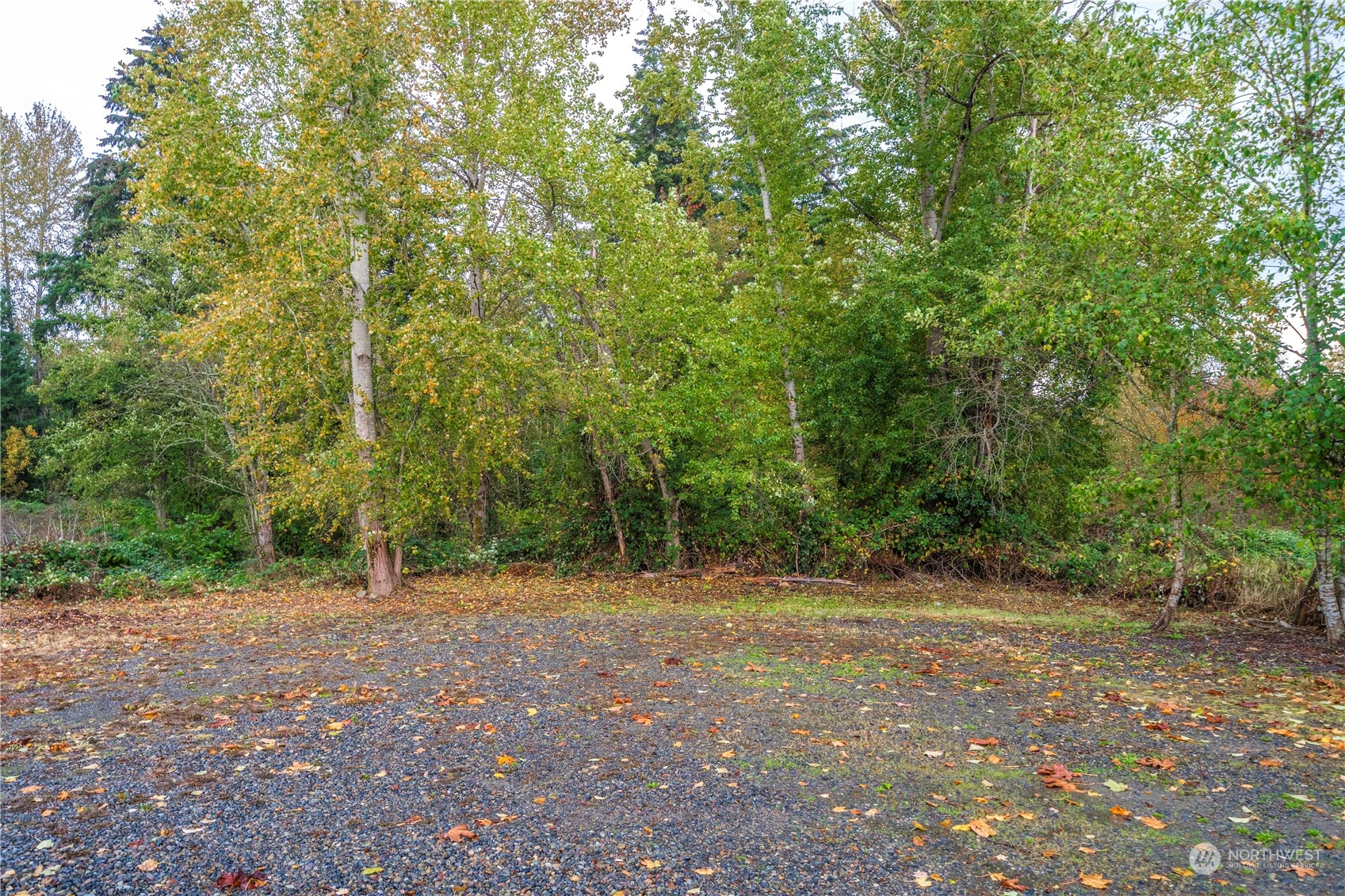 11101 Bingham Avenue Property Photo 26
