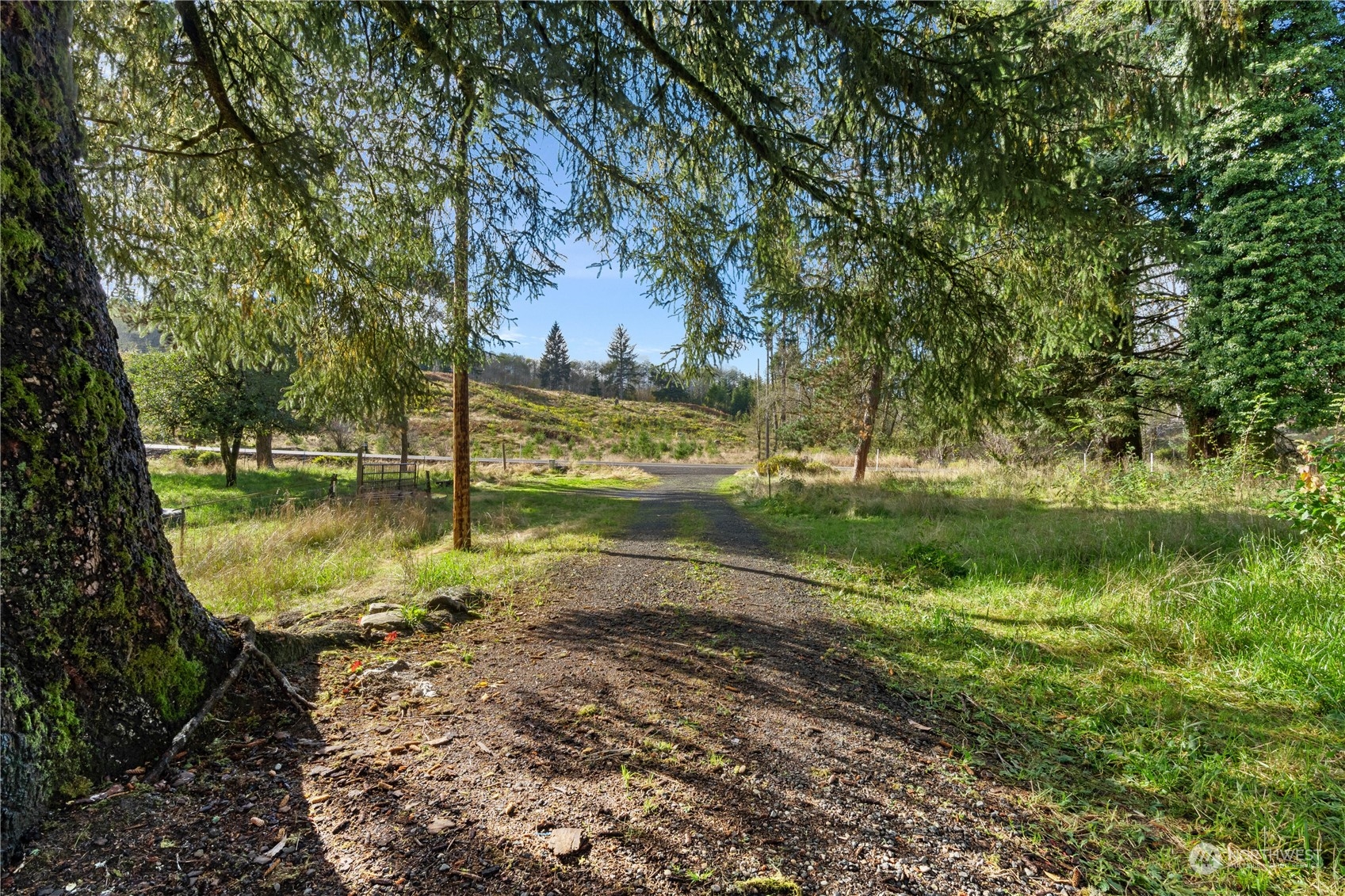 310 Butte Creek Road Property Photo 21