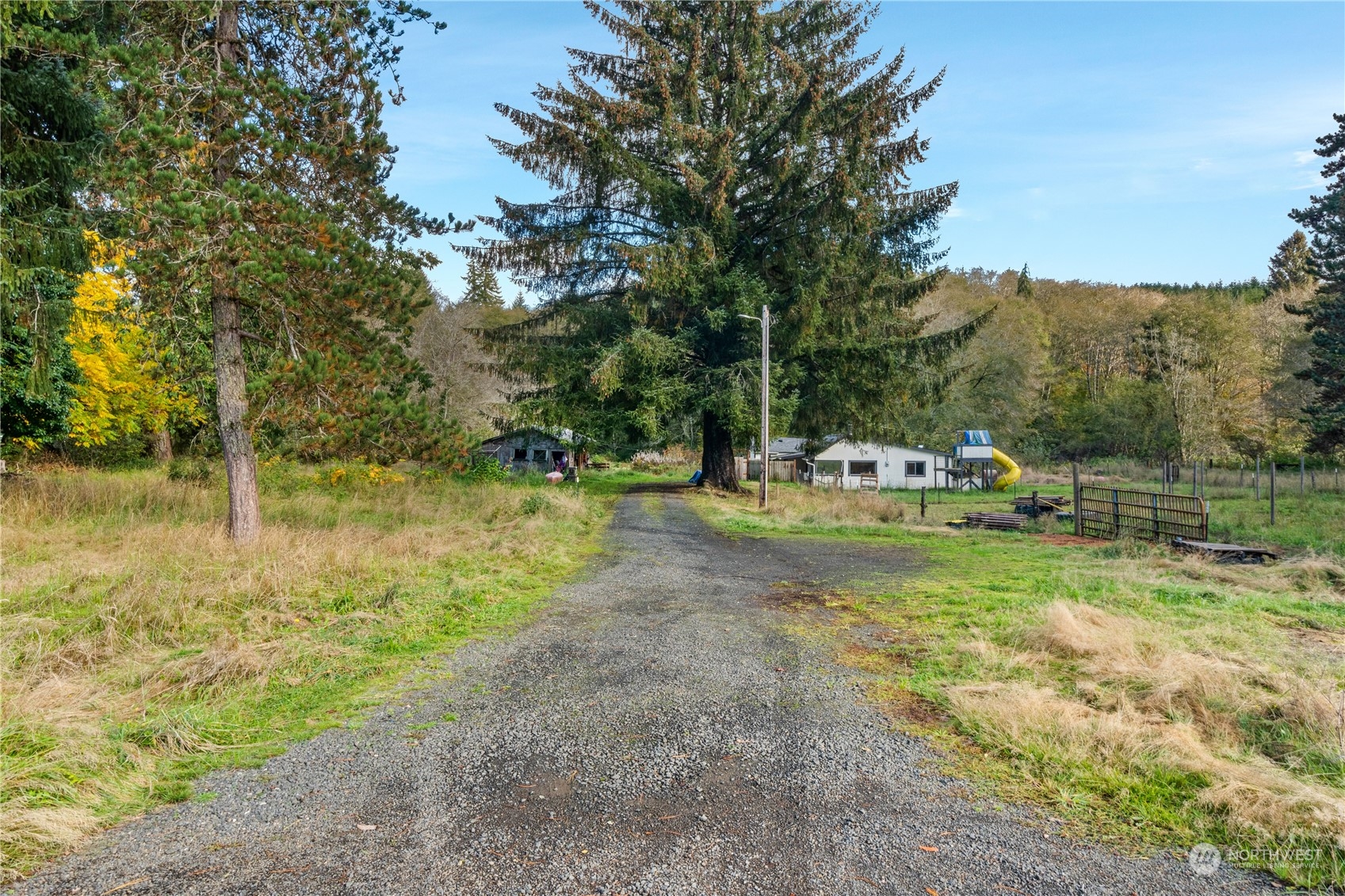 310 Butte Creek Road Property Photo 22