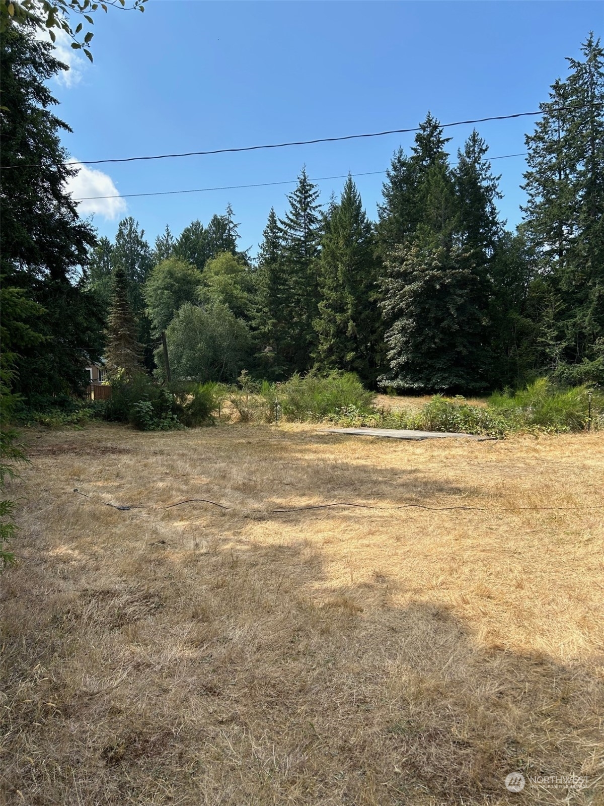 9009 Miller Road Property Photo 2