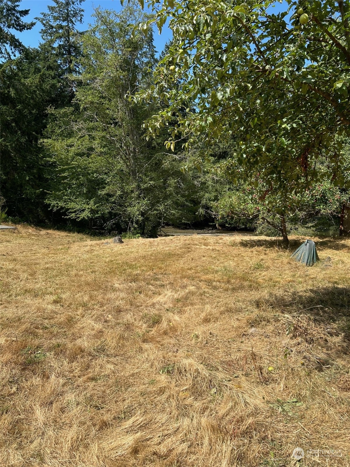 9009 Miller Road Property Photo 3