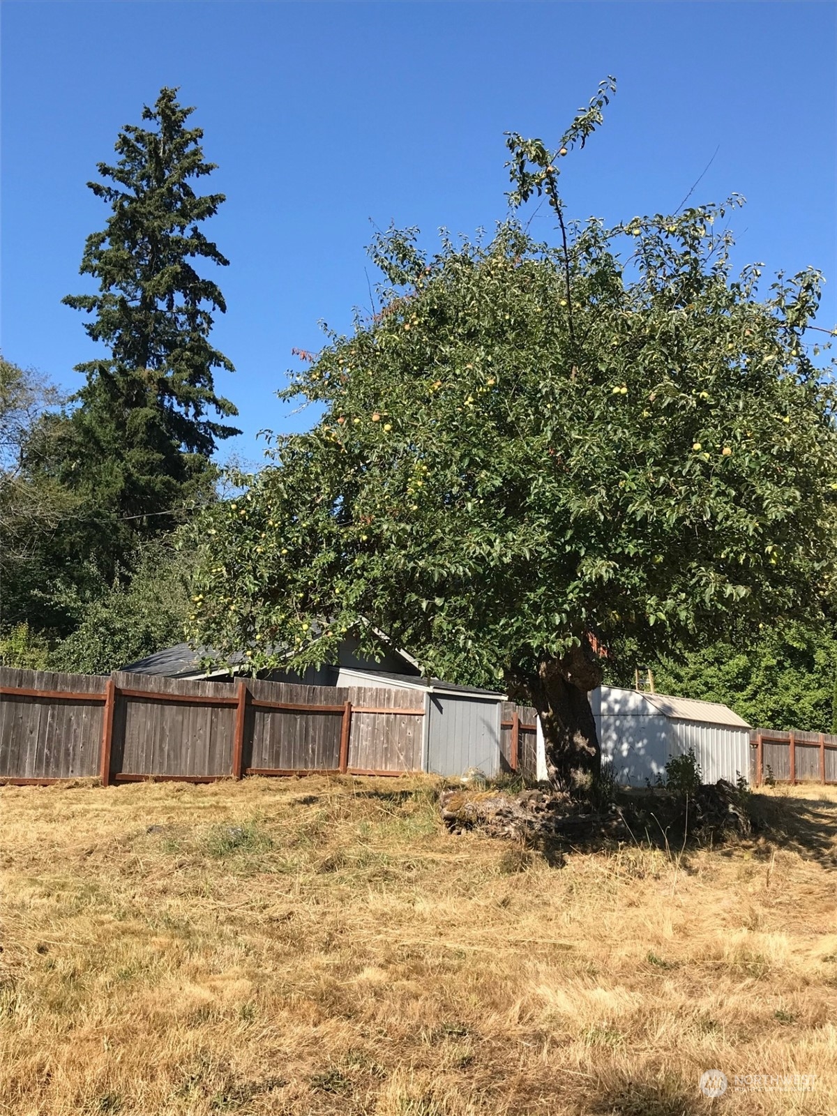 9009 Miller Road Property Photo 17