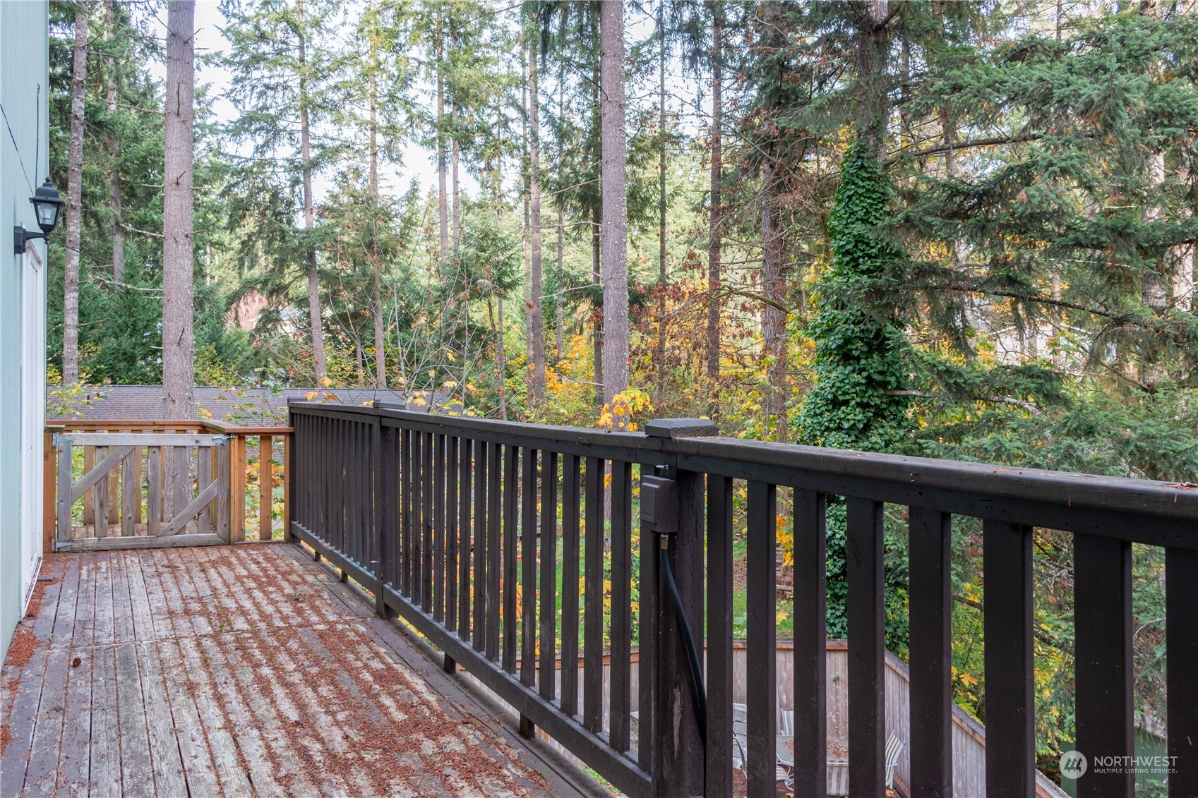 18024 Hi Lo Court Property Photo 16