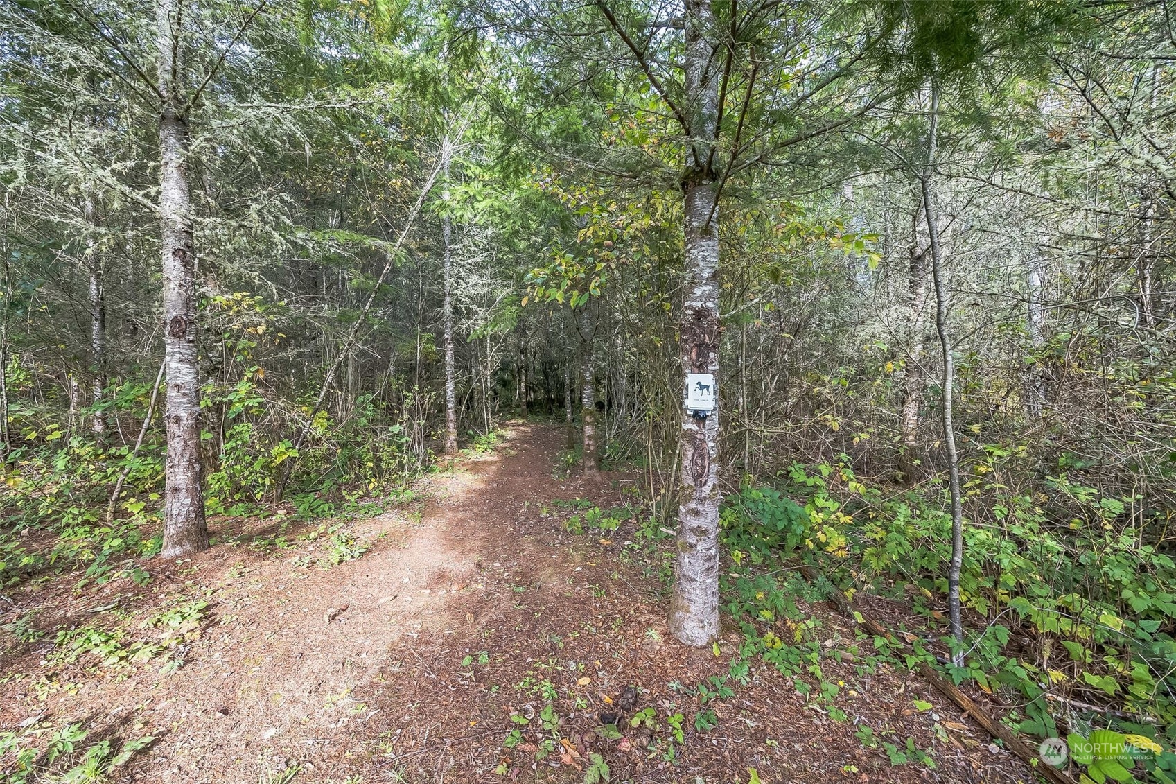 289 Middle Fork Road Property Photo 7