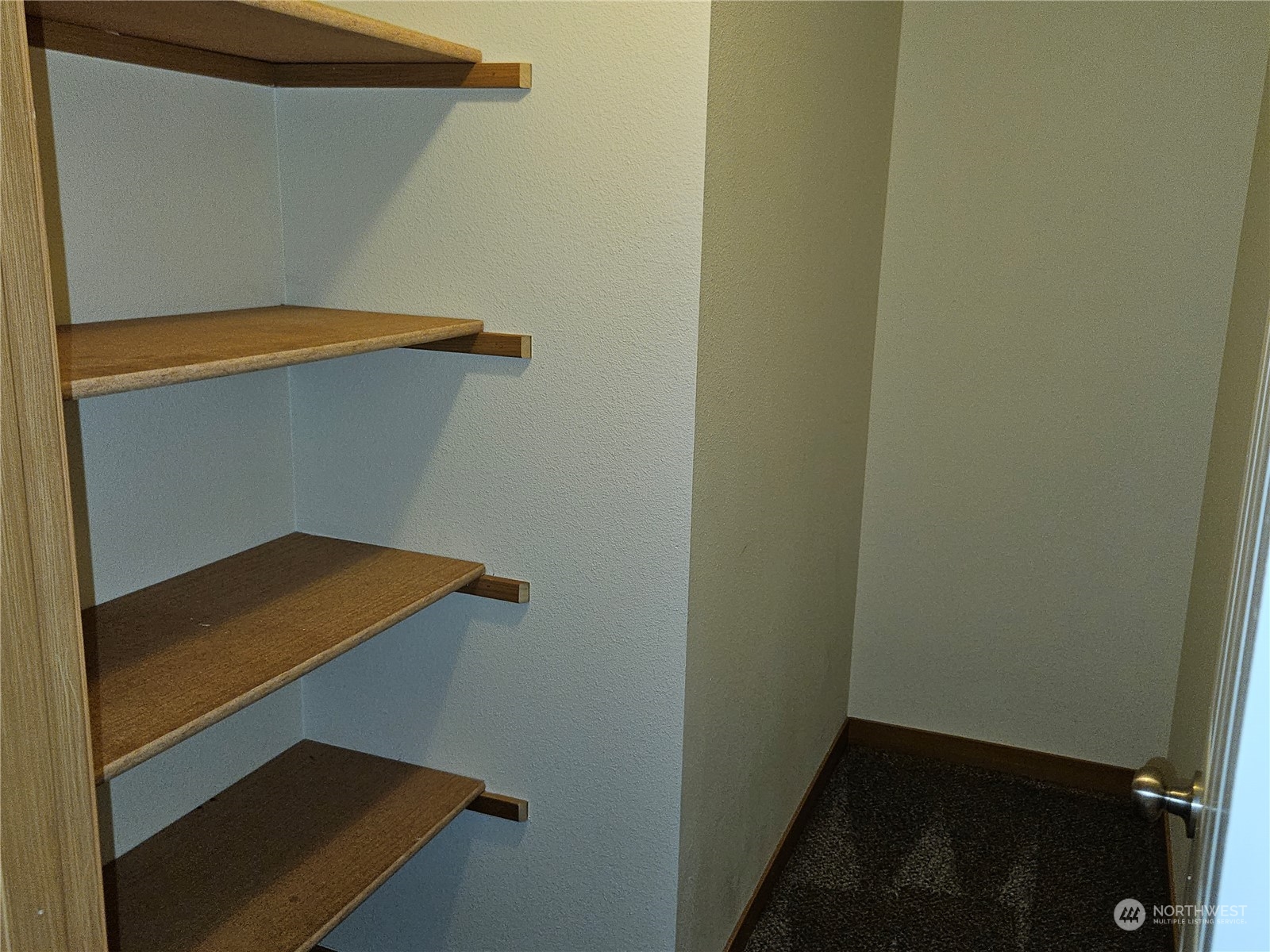 313 Camden Way Property Photo 13