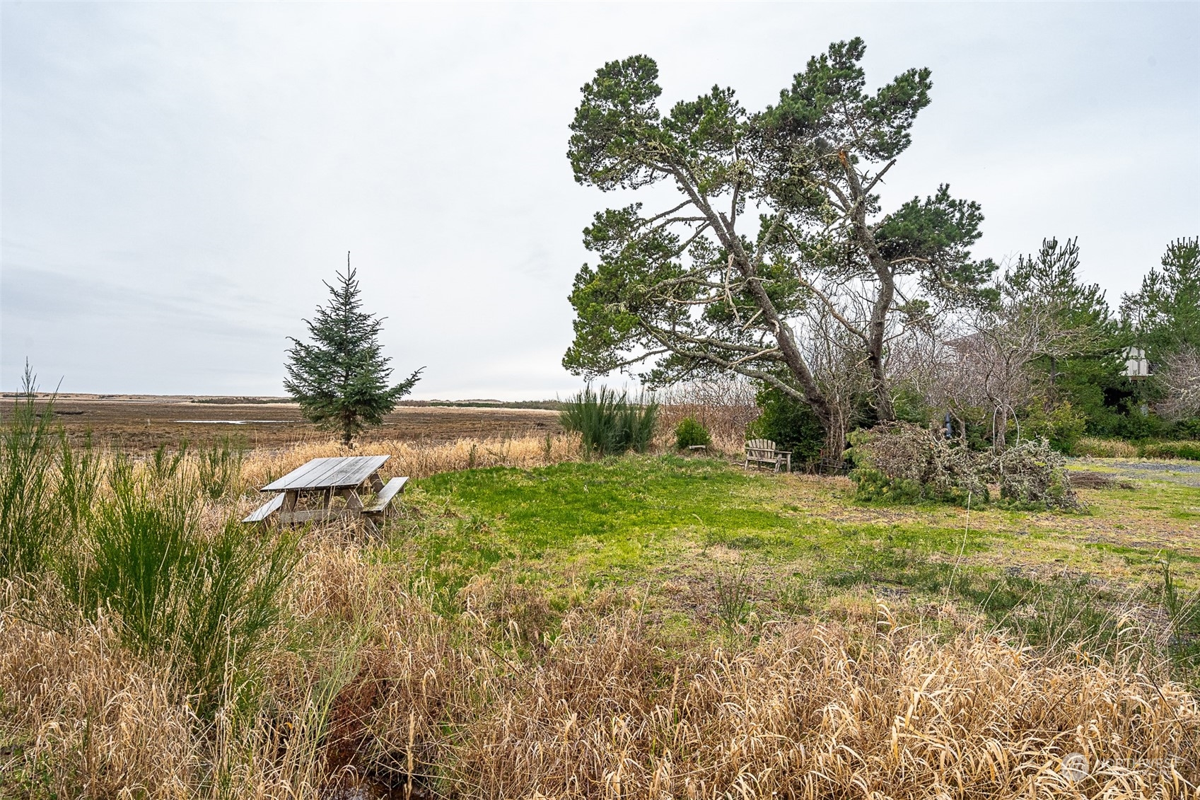 2680 Sunset Lane Property Photo 8