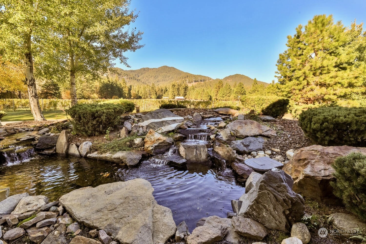 Property Photo 37