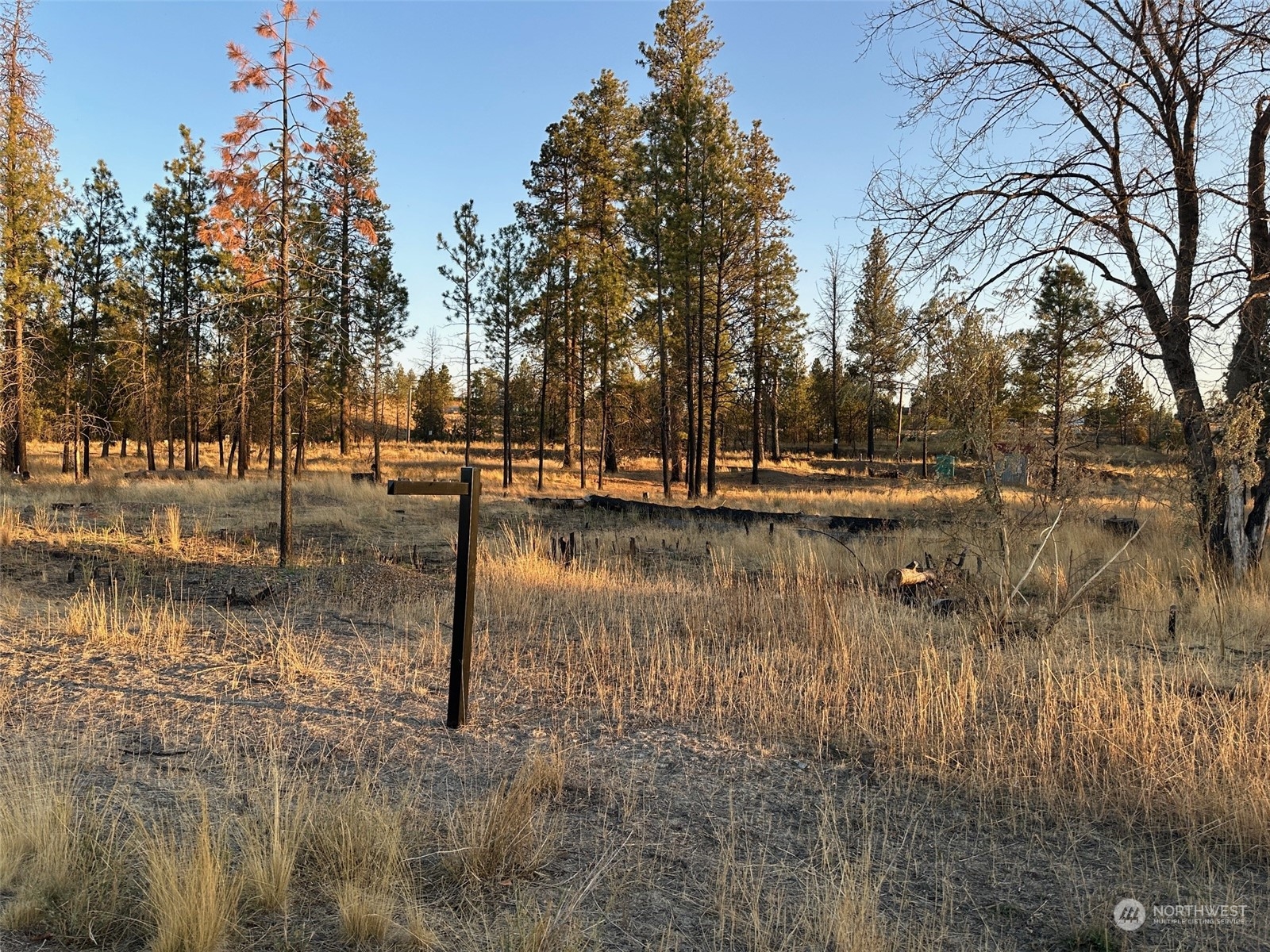Rosalia Real Estate Listings Main Image