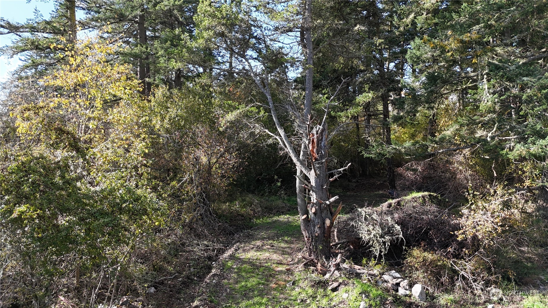 0 Cattle Point Road Property Photo 1