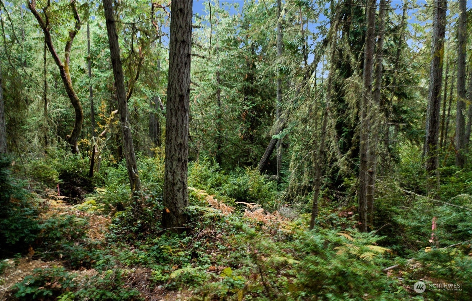 11419 Guthrie Road Property Photo