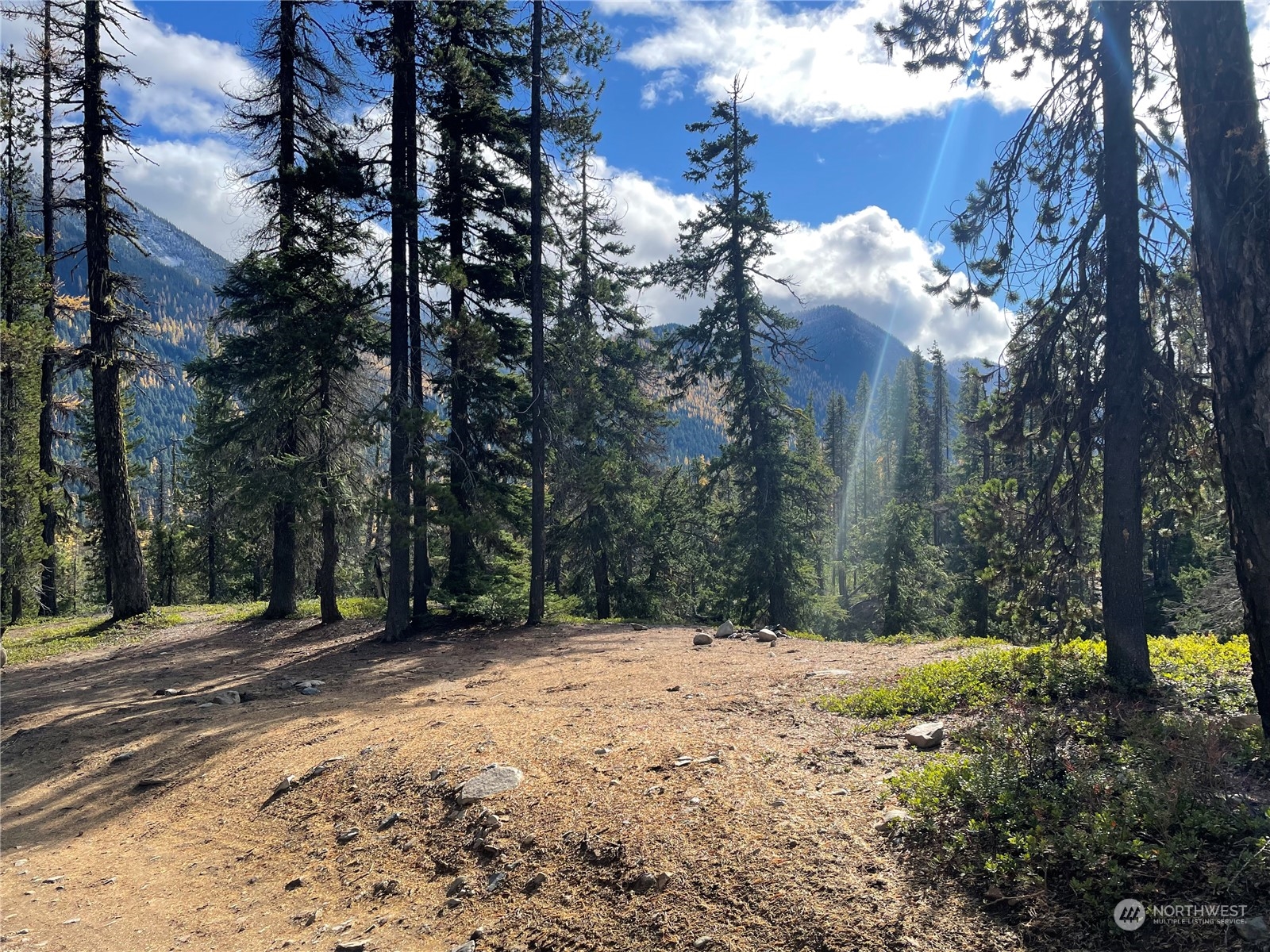 Naches Vly High Real Estate Listings Main Image