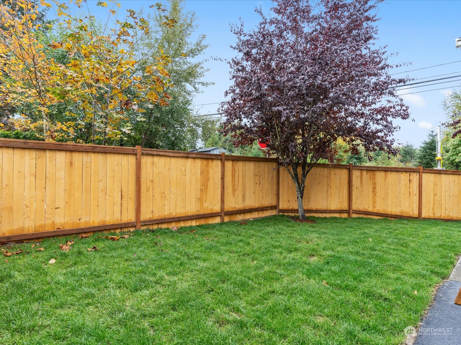 12404 Ne 95th Street Property Photo 29