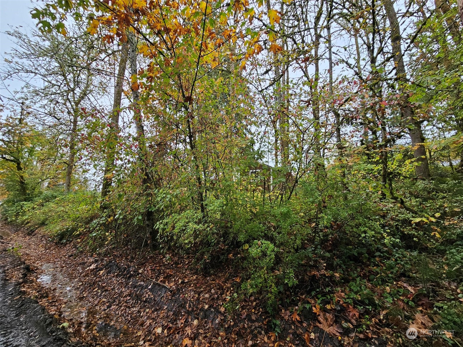 1281 State Route 505 Property Photo 3