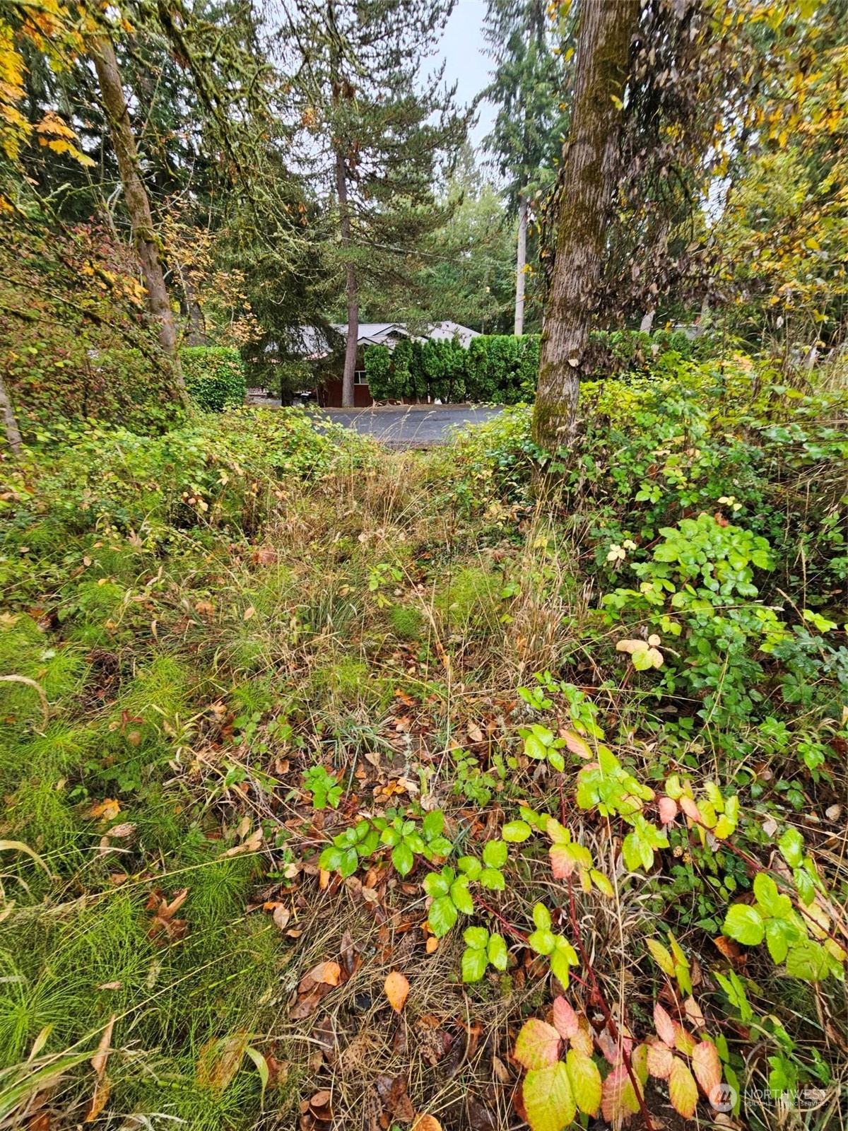 1281 State Route 505 Property Photo 4