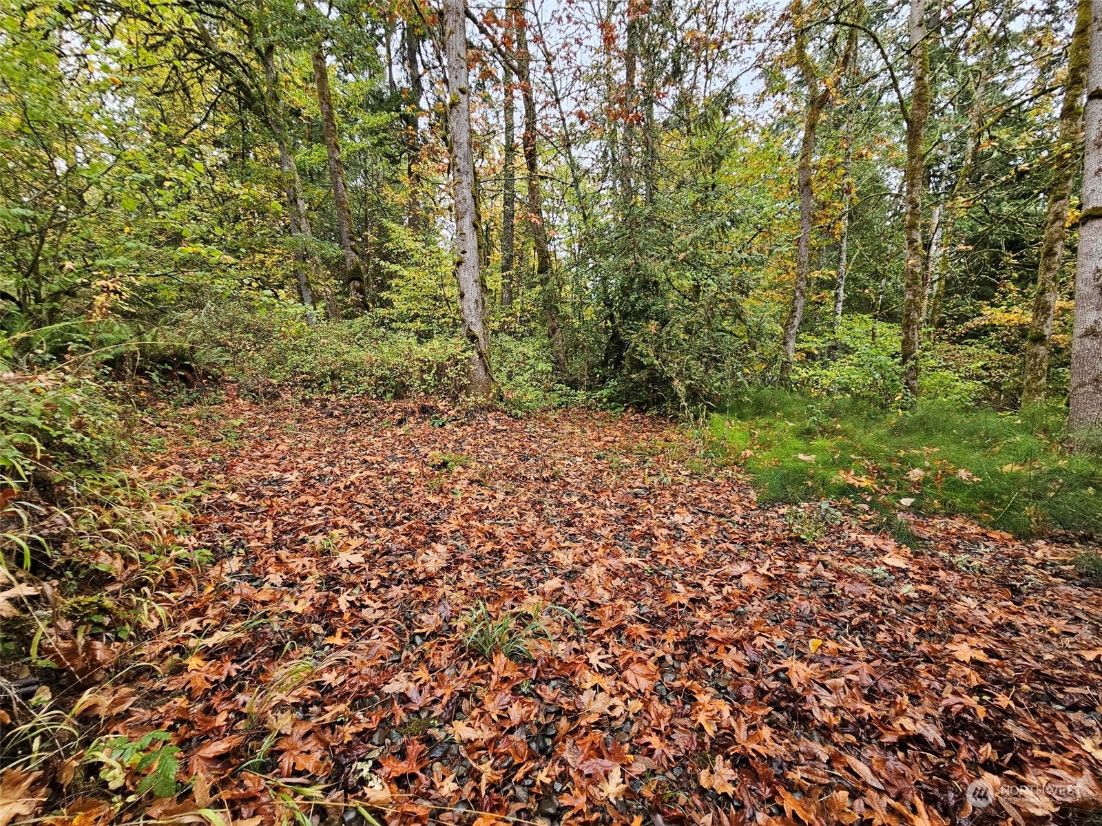 1281 State Route 505 Property Photo 6