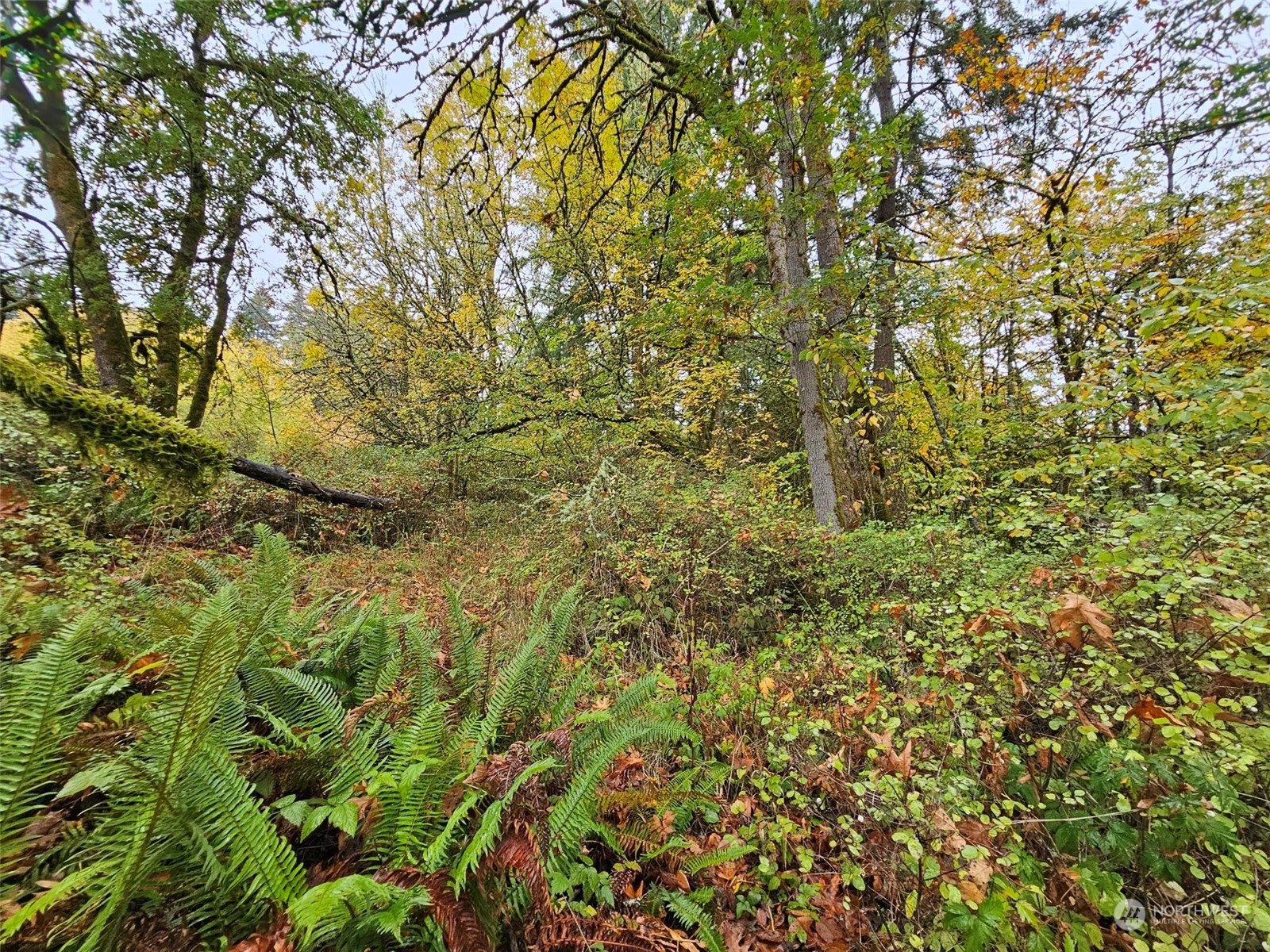 1281 State Route 505 Property Photo 7