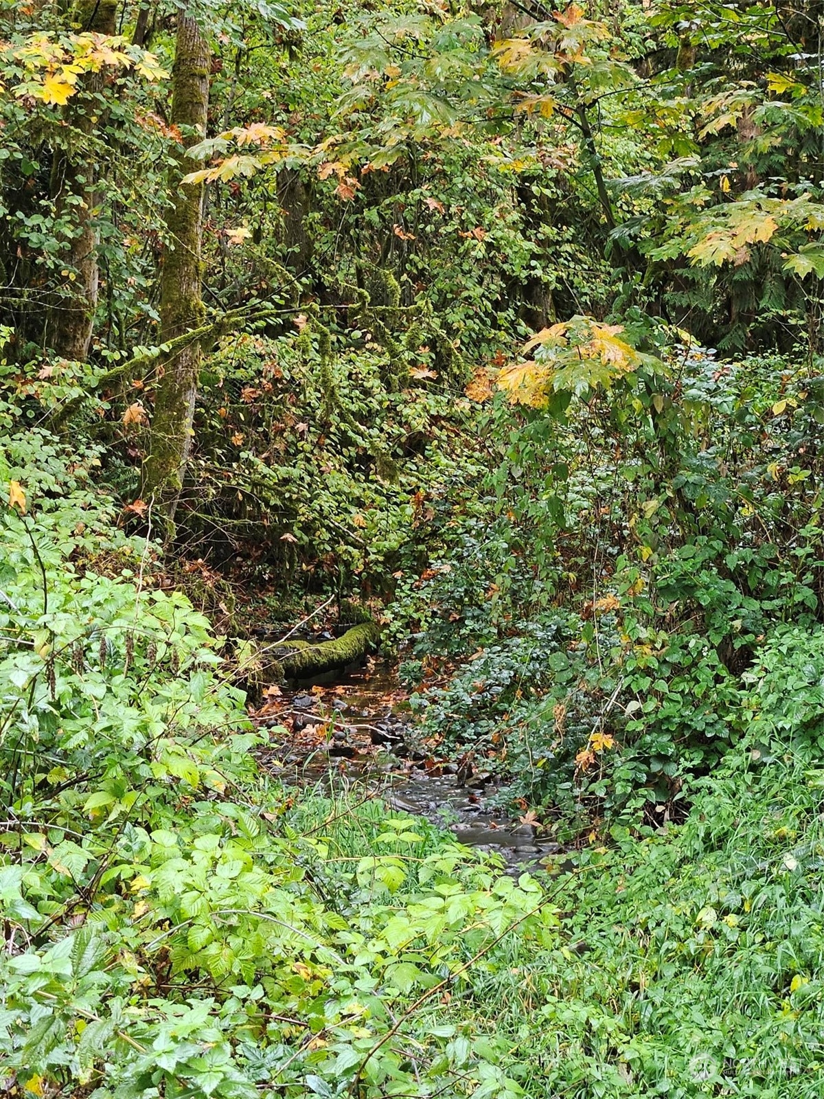 1281 State Route 505 Property Photo 15