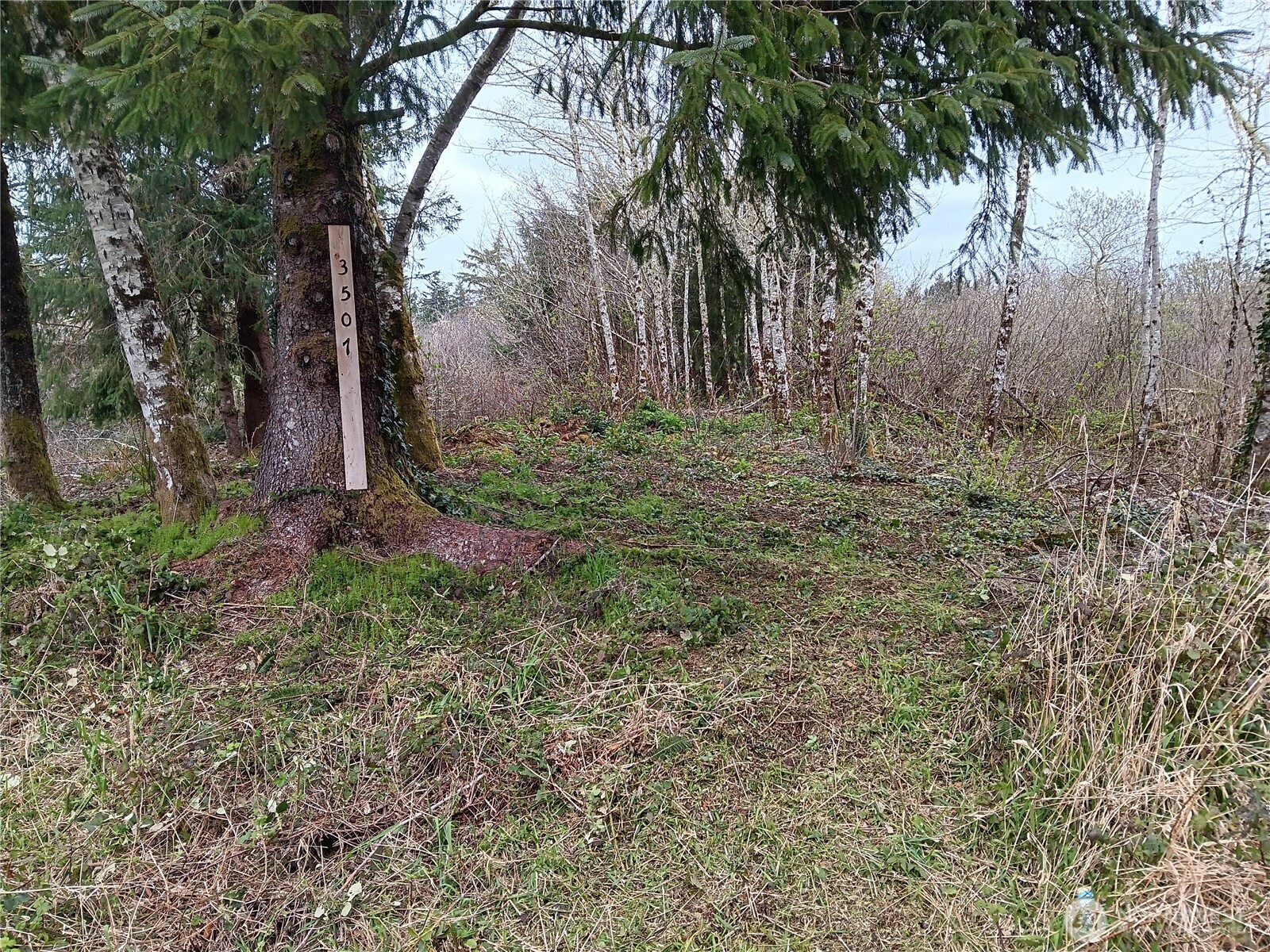 3507 102nd Street Property Photo 1
