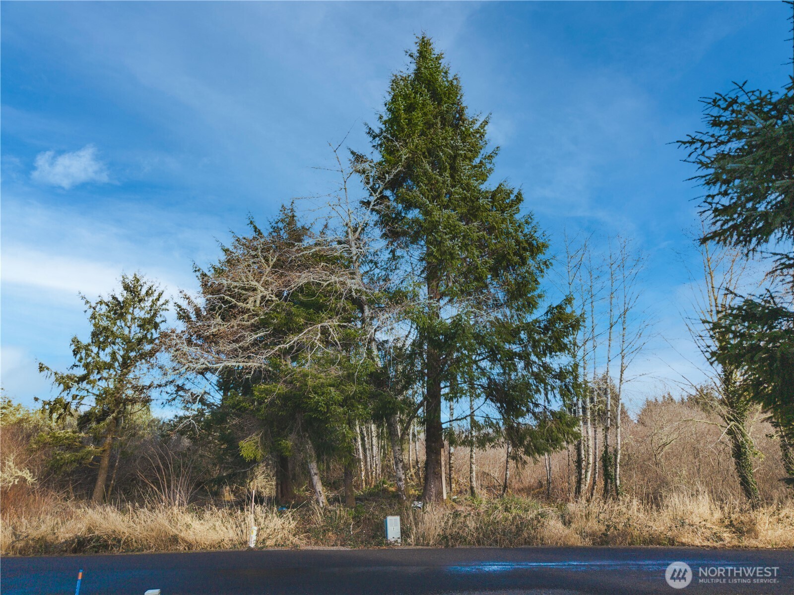 3507 102nd Street Property Photo 2