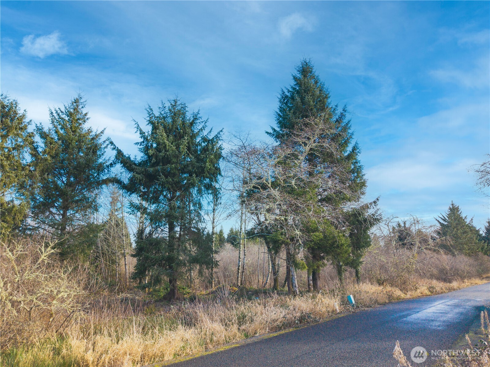 3507 102nd Street Property Photo 5
