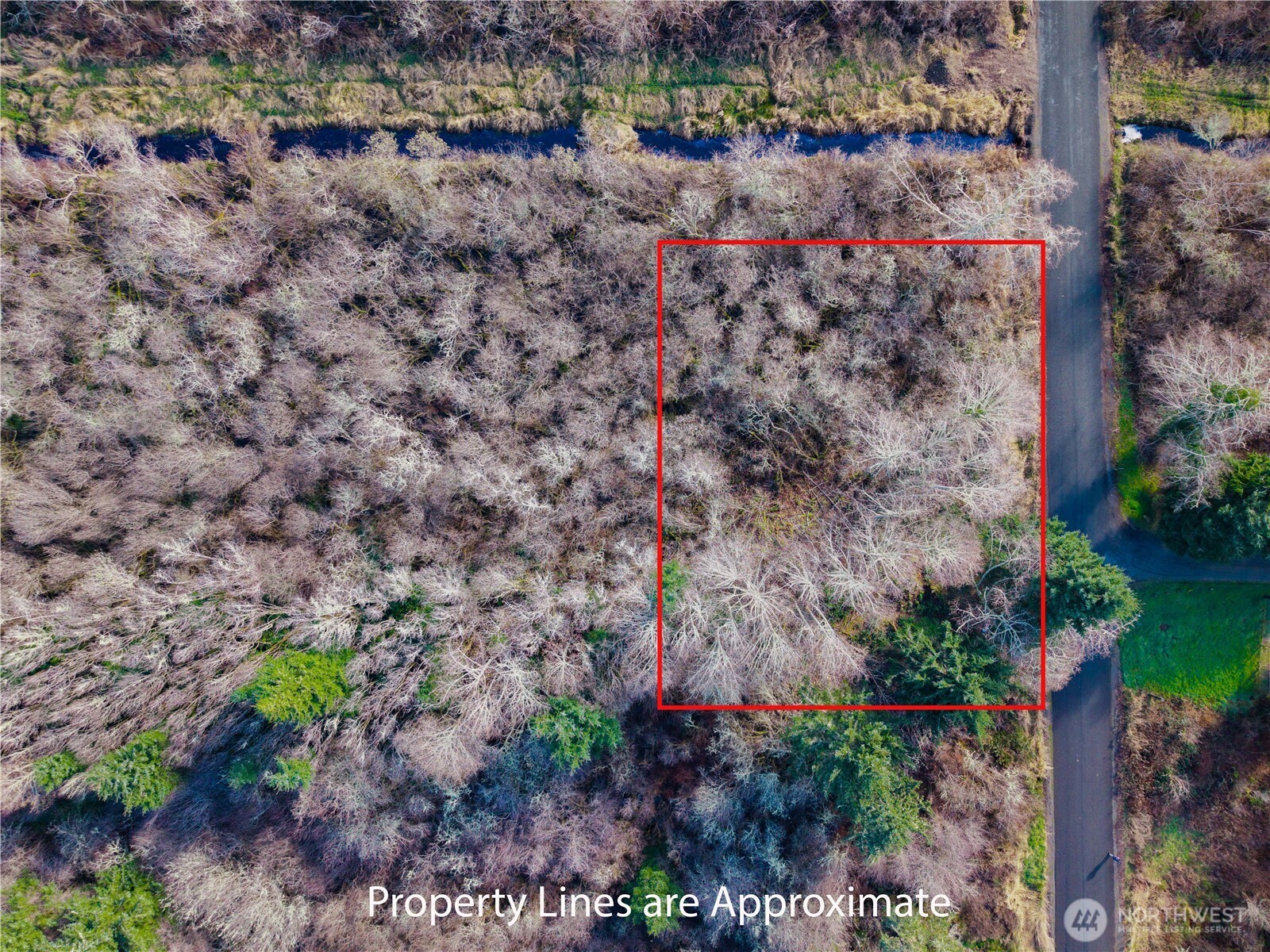 3507 102nd Street Property Photo 6