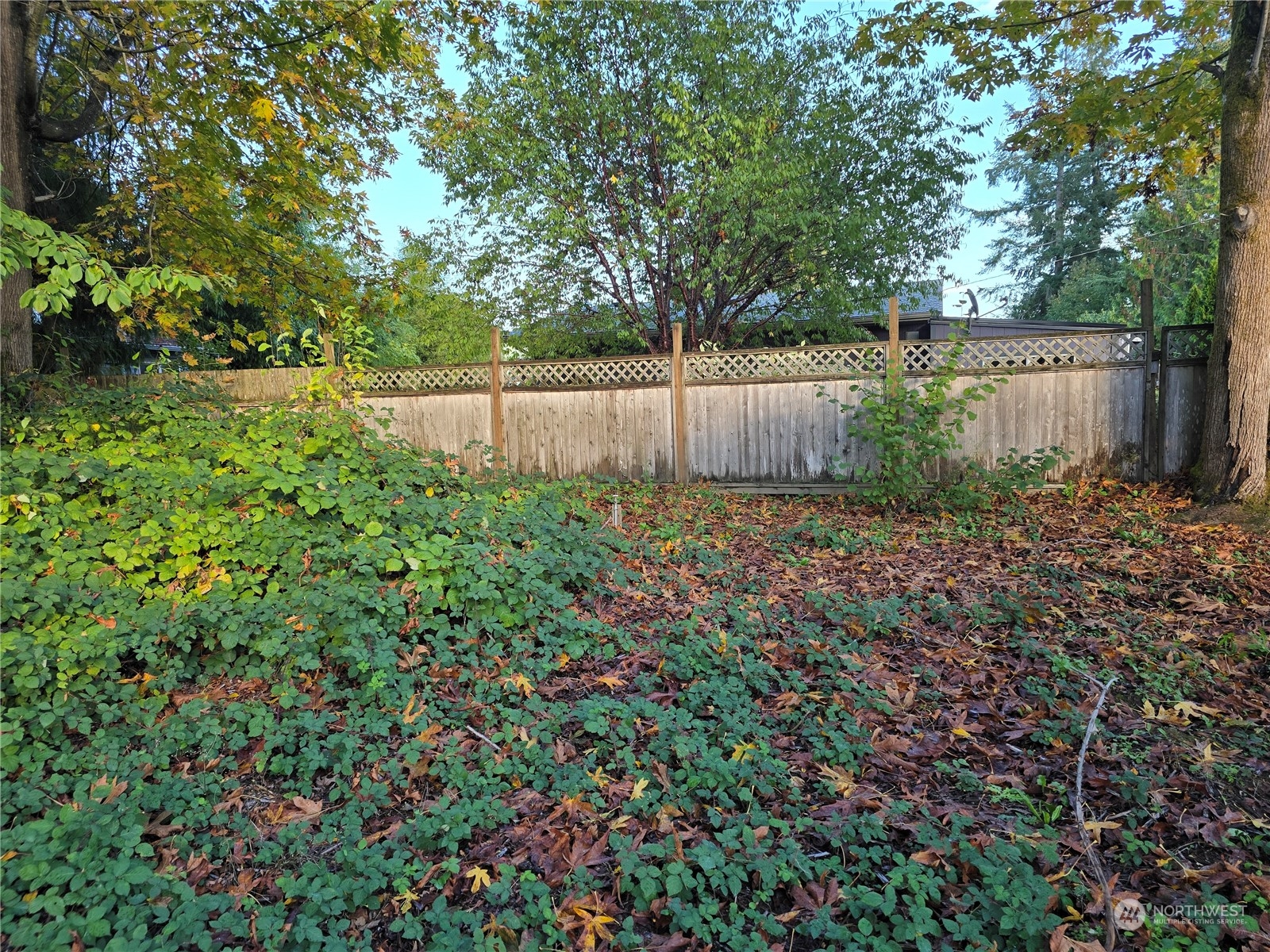 718 Fir Street Property Photo 2