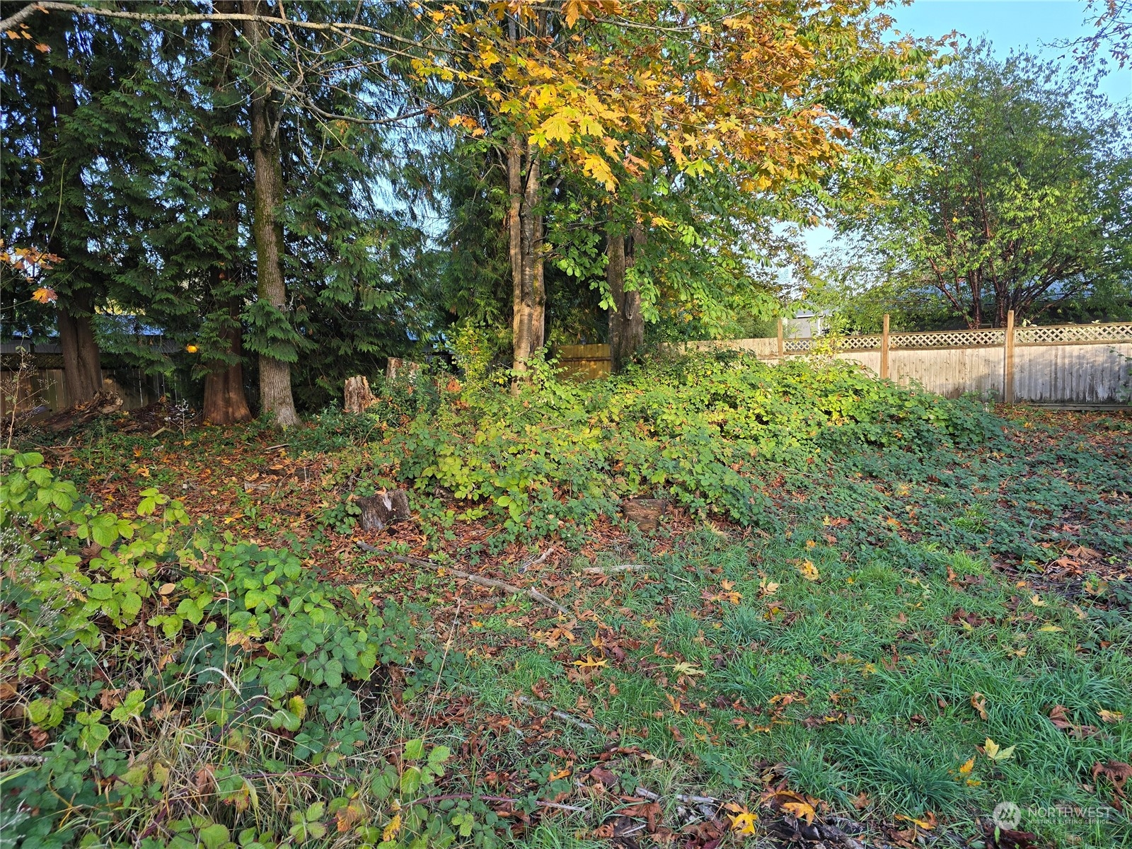 718 Fir Street Property Photo 3