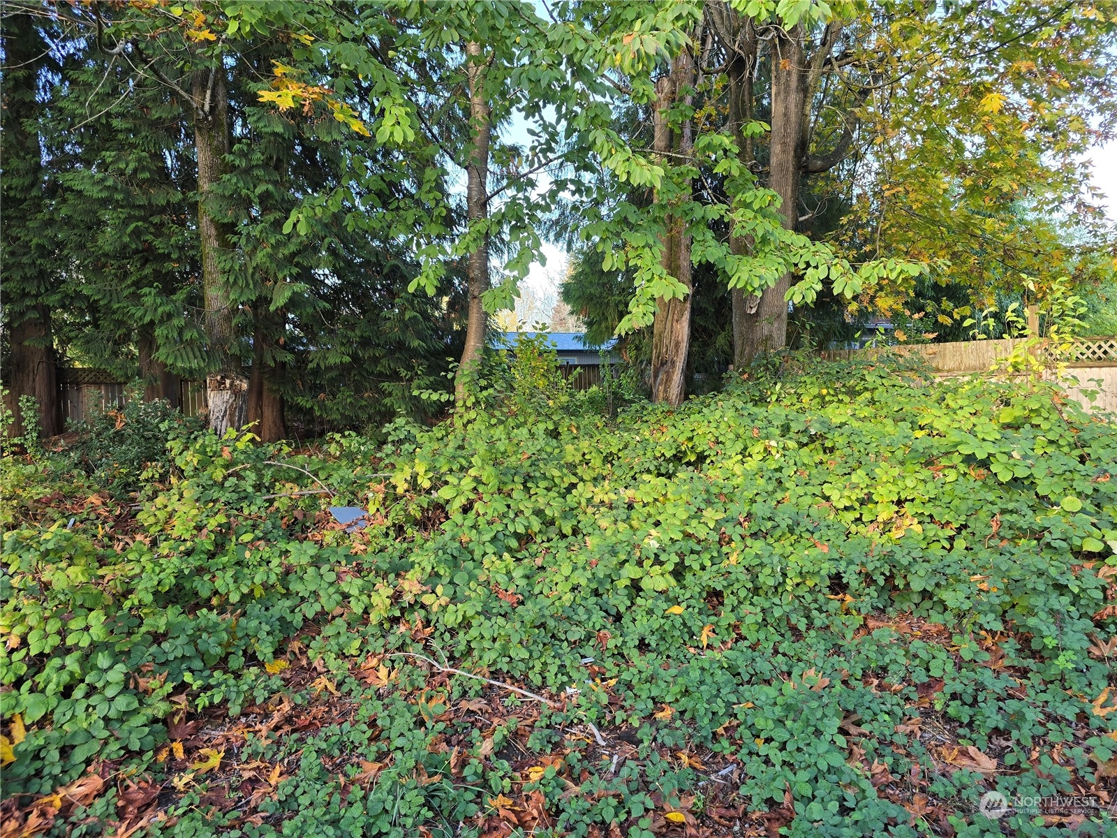 718 Fir Street Property Photo 4
