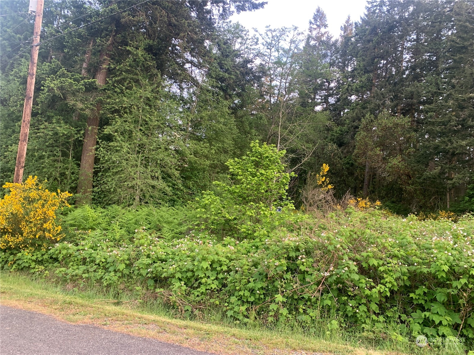 0 Lylus Lane Property Photo 2