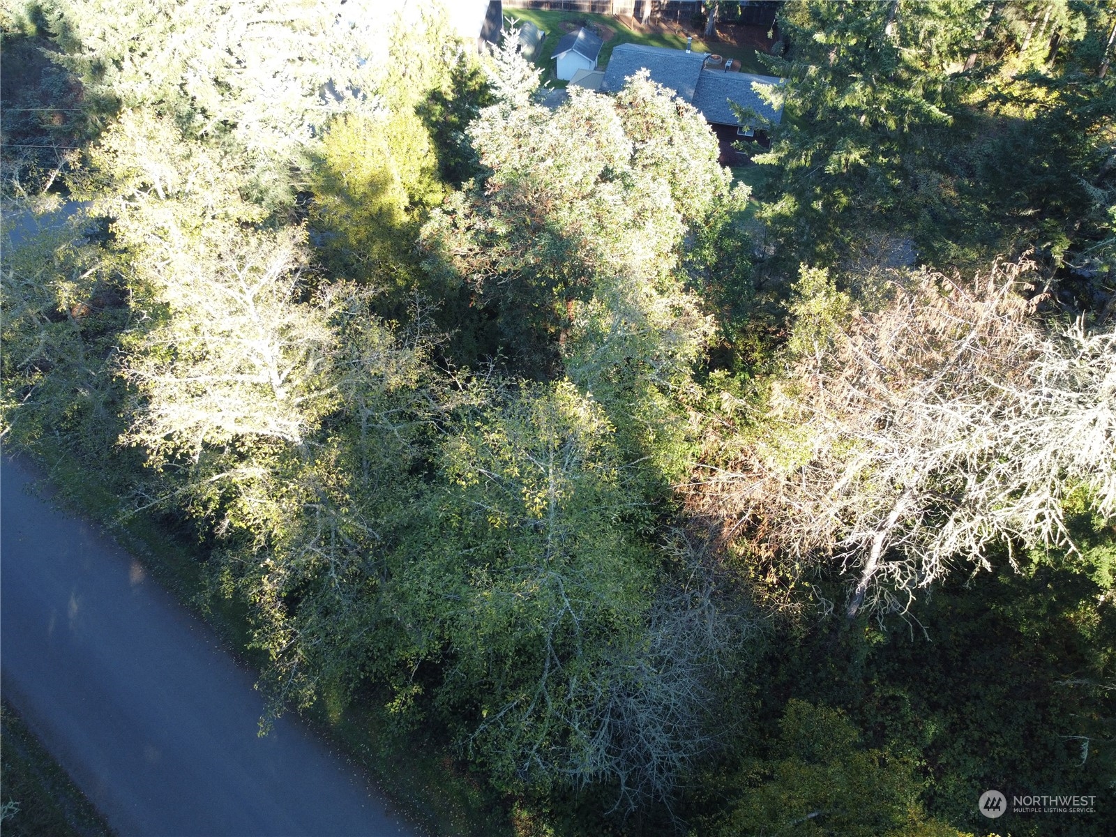 0 Lylus Lane Property Photo 9