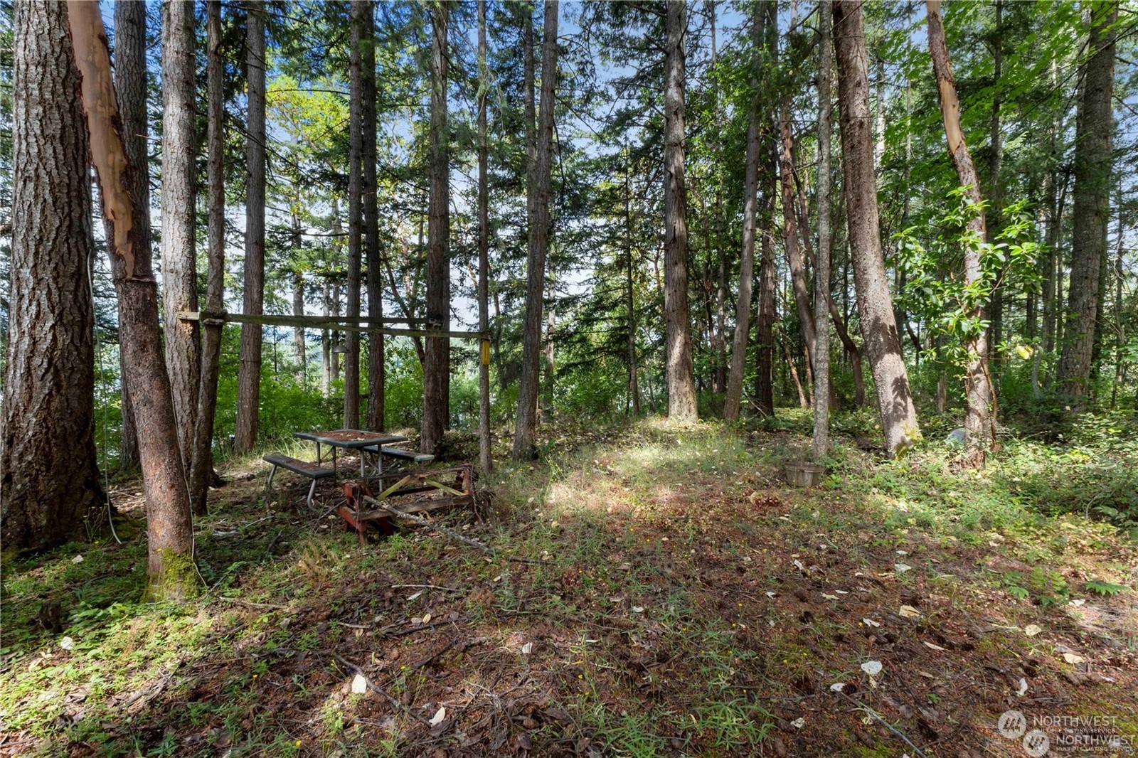 18105 Sundown Court Property Photo 1