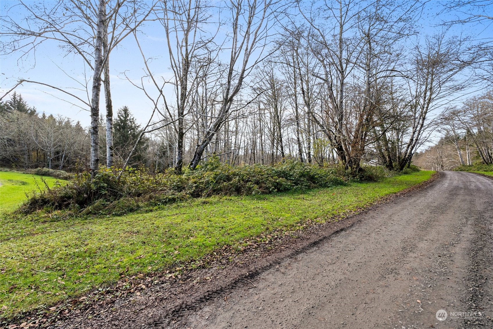 0 Wilson Lane Property Photo 19