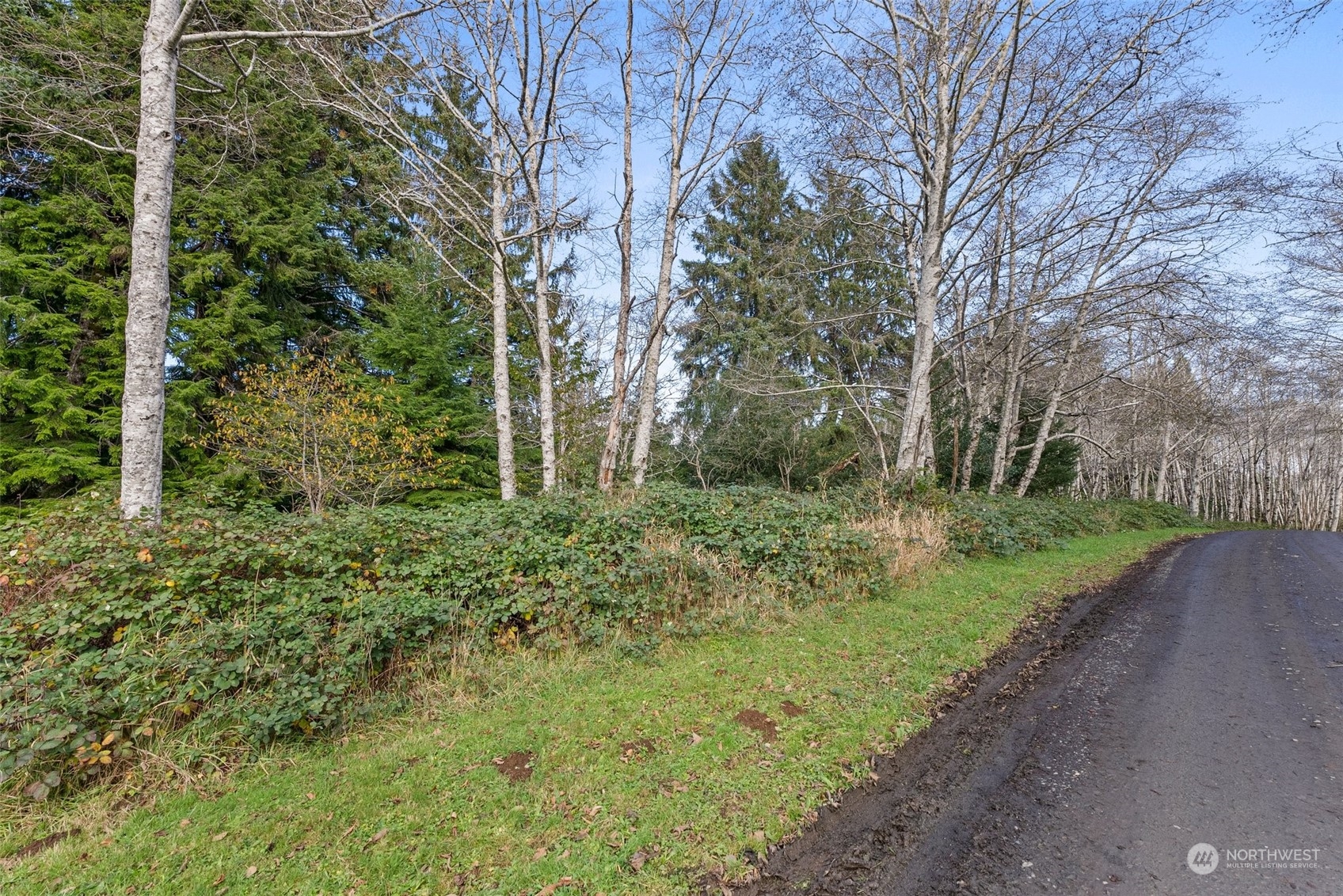 0 Wilson Lane Property Photo 20