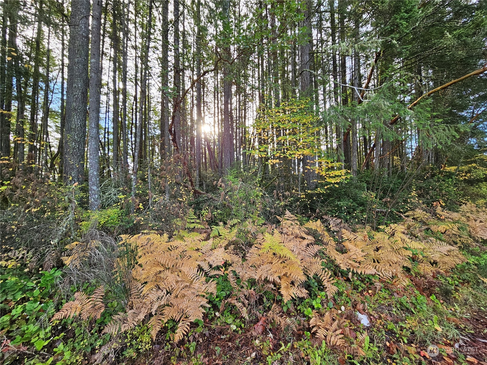 0 Ne Larson Lake Road Property Photo