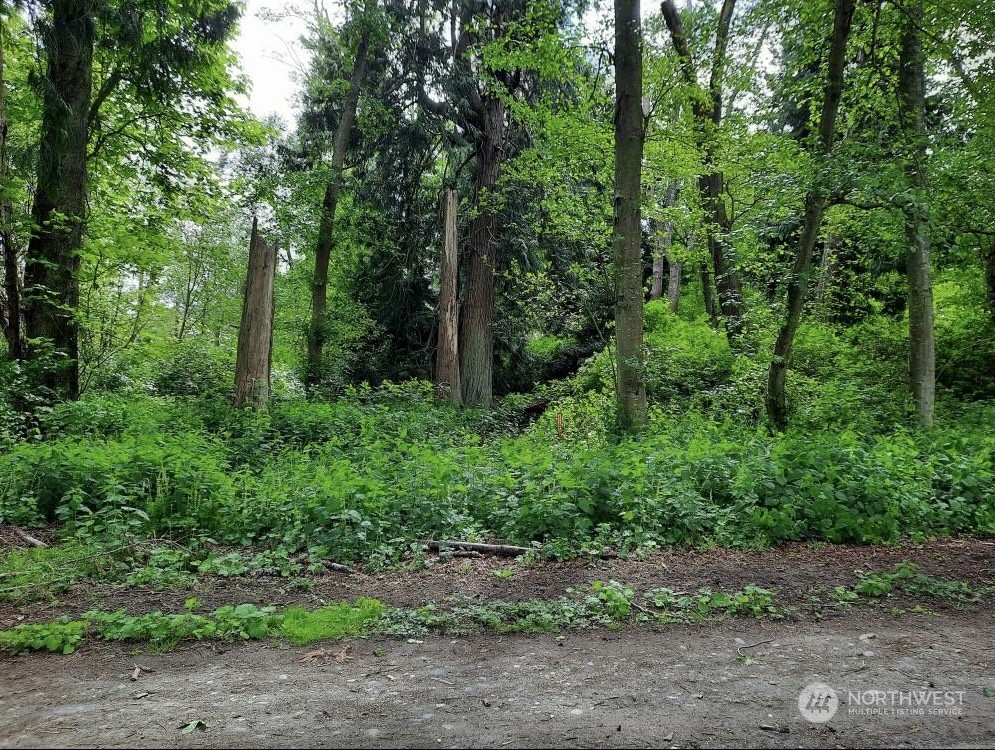 52 Saratoga Property Photo 2